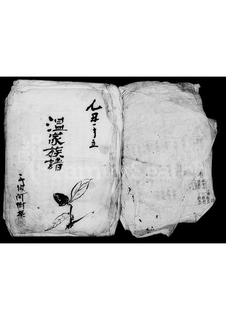 广东温氏族谱-温家族谱.pdf电子版插图2