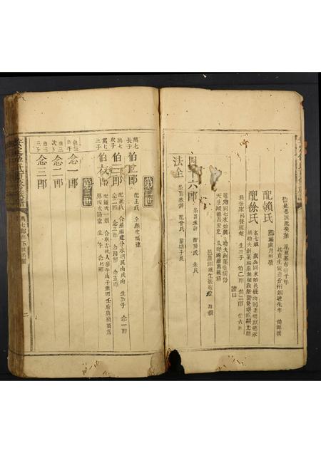 广东伍氏族谱-安定伍氏重修族谱.pdf电子版插图2