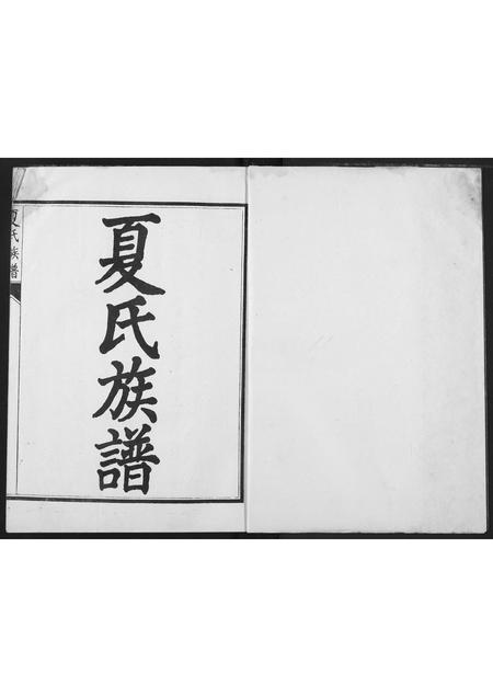 河南夏氏族谱-夏氏族谱.pdf电子版插图2