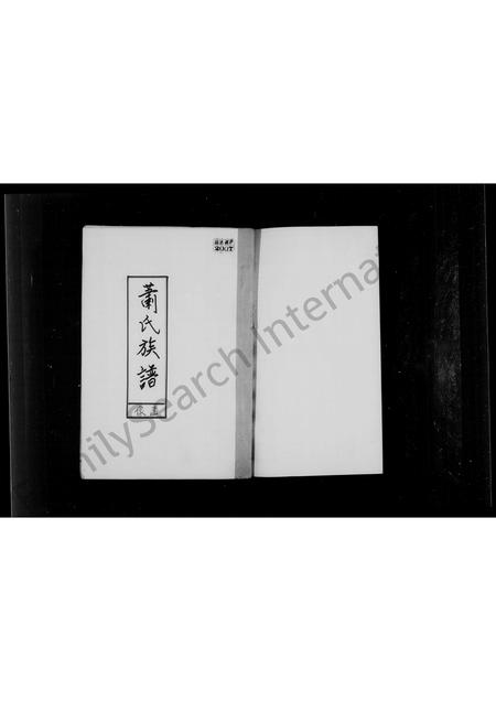 广东、福建萧氏族谱-萧氏族谱画像.pdf电子版插图2
