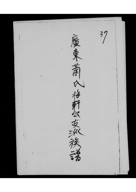 广东萧氏族谱-广东萧氏梅轩公支派族谱.pdf电子版插图2