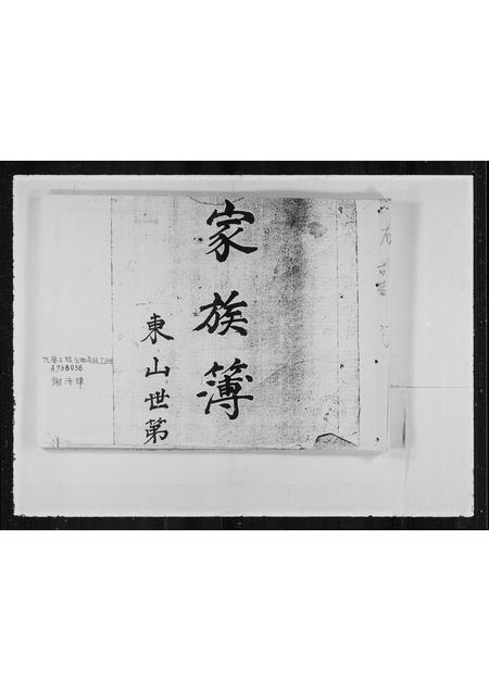 广东谢氏族谱-[谢]家族簿.pdf电子版插图2