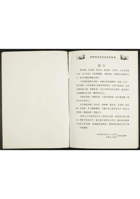 广东杨氏族谱-揭阳杨财合达濠派系家谱.pdf电子版插图2