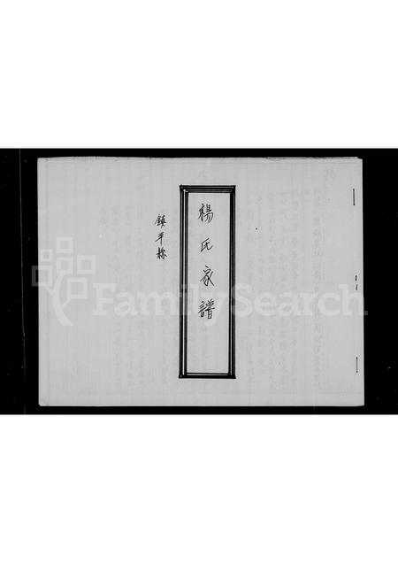 广东杨氏族谱-杨氏家谱.pdf电子版插图2