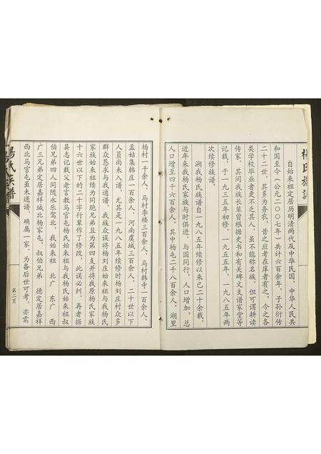 河南杨氏族谱-杨氏族谱.pdf电子版插图2