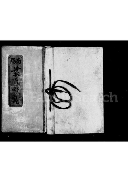广东叶氏族谱-南阳叶氏族谱.pdf电子版插图2