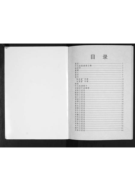 河南叶氏族谱-林内叶氏[不分卷].pdf电子版插图2