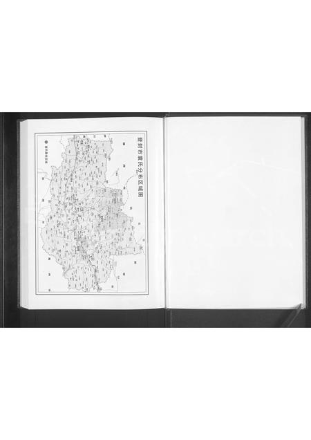 河南袁氏族谱-登封袁氏族谱.pdf电子版插图2