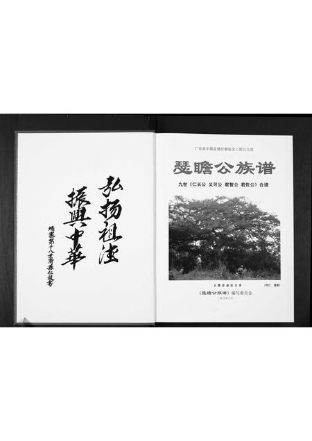 广东张氏族谱-张念三郎九世瑟瞻公公族谱.pdf电子版插图2