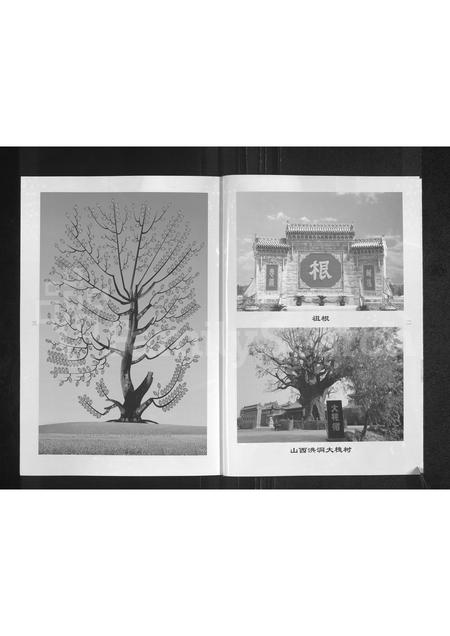 河南张氏族谱-张氏族谱.pdf电子版插图2 河南张氏族谱-张氏族谱.pdf电子版插图2