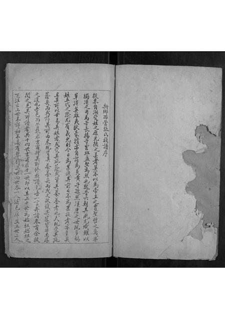 河南张氏族谱-张氏族谱.pdf电子版插图2