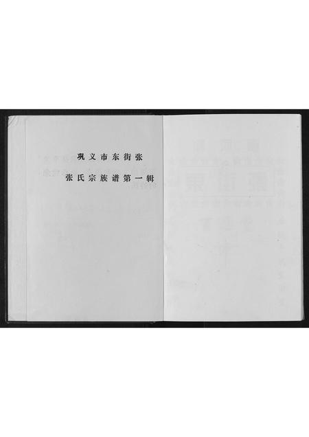 河南张氏族谱-东街张.pdf电子版插图2