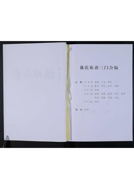 河南戴氏族谱-鹿邑淮阳戴氏族谱.pdf电子版插图2