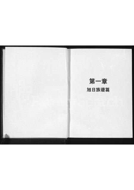 河南高氏族谱-高氏家族谱 _ 豫东南高氏家族支系部分 [残1卷].pdf电子版插图2