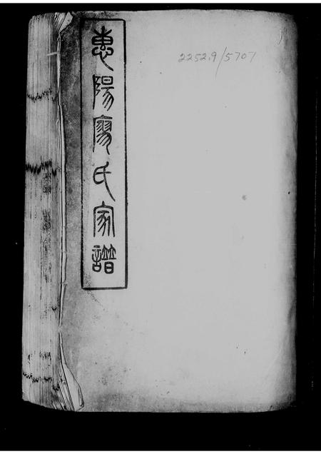 广东廖氏族谱-惠阳廖氏家谱 _ [2卷].pdf电子版插图2