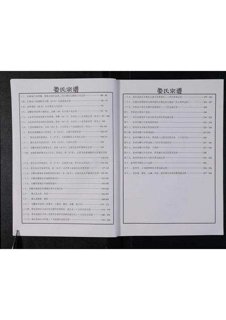 河南娄氏族谱-娄氏族谱 _ 二门.pdf电子版插图2