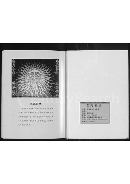 河南秦氏族谱-秦氏家谱 [不分卷].pdf电子版插图2