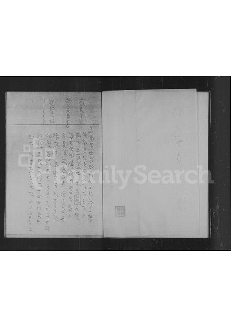 广东苏氏族谱-九龙长沙湾苏氏族谱.pdf电子版插图2