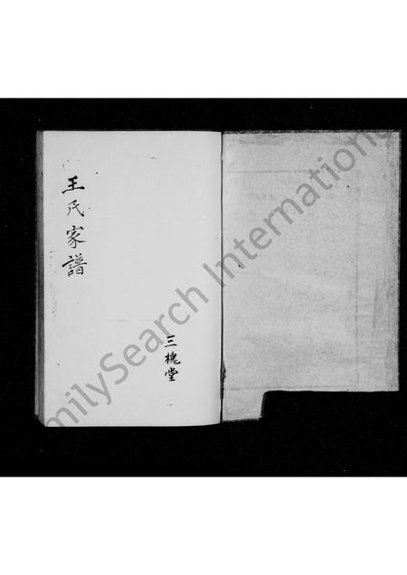 河南王氏族谱-王氏族谱 _ 三槐堂.pdf电子版插图2