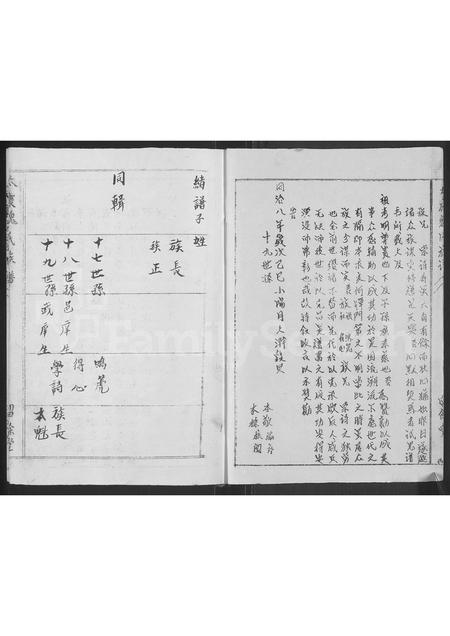 河南魏氏族谱-魏氏族谱 _ 河南省太康县 [再续1卷].pdf电子版插图2