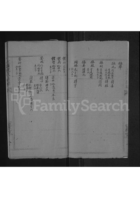 河南魏氏族谱-魏氏族谱 _ 河南省太康县 [存2卷].pdf电子版插图2