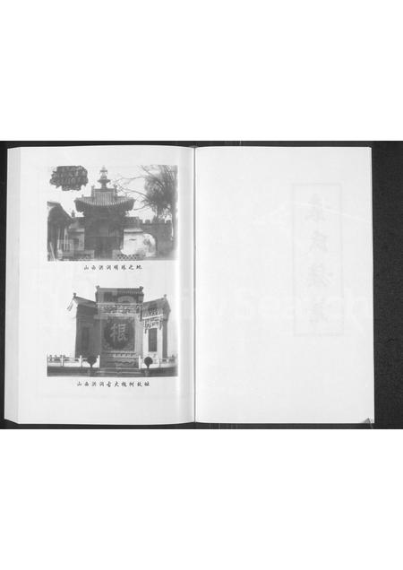 河南袁氏族谱-袁氏族谱.pdf电子版插图2