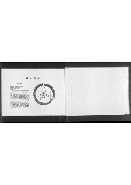 河南张氏族谱-张氏族谱.pdf电子版插图2