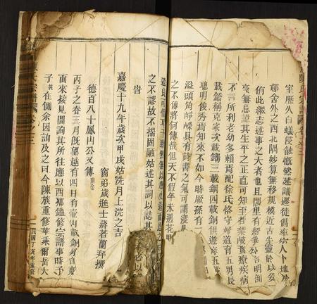 广东陈氏族谱-颖川陈氏宗谱.pdf电子版插图2