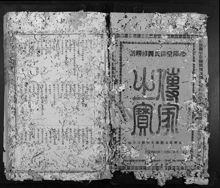 广东邓氏族谱-南阳堂邓氏四修联谱.pdf电子版插图2