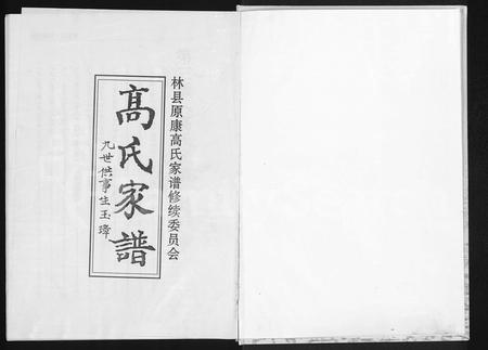 河南高氏族谱-高氏家谱.pdf电子版插图2