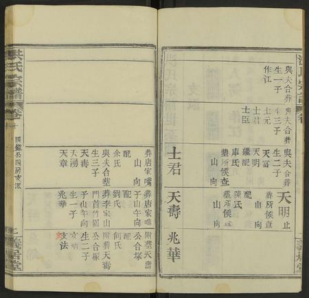 河南、安徽洪氏族谱-洪氏宗谱 [13卷及卷首2卷].pdf电子版插图2