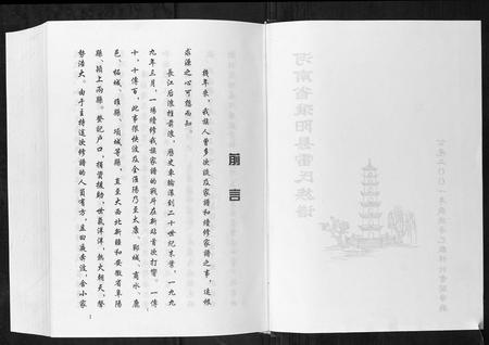 河南雷氏族谱-雷氏族谱.pdf电子版插图2