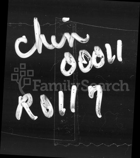 广东李氏族谱-东坑李氏族谱.pdf电子版插图2
