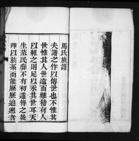 河南马氏族谱-马氏族谱.pdf电子版插图2
