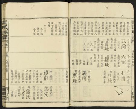 广东汤氏族谱-汤氏族谱 [残卷].pdf电子版插图2