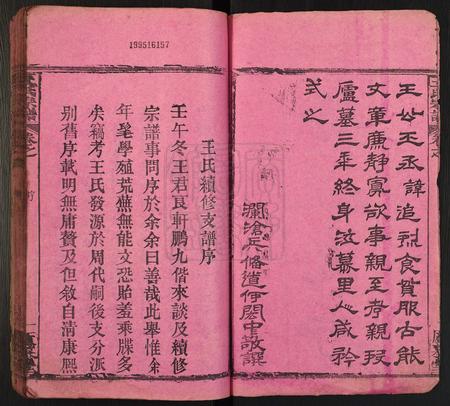 河南王氏族谱-王氏宗谱[10卷含首卷, 末1卷].pdf电子版插图2