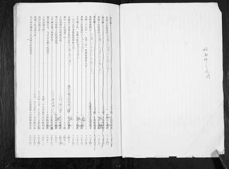 河南王氏族谱-王氏家谱[4卷].pdf电子版插图2