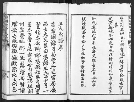 河南王氏族谱-开州琅琊王氏谱.pdf电子版插图2