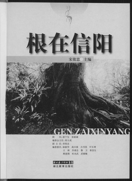 河南未知族谱-根在信阳.pdf电子版插图2