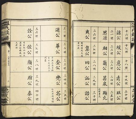 河南温氏族谱-温氏族谱.pdf电子版插图2