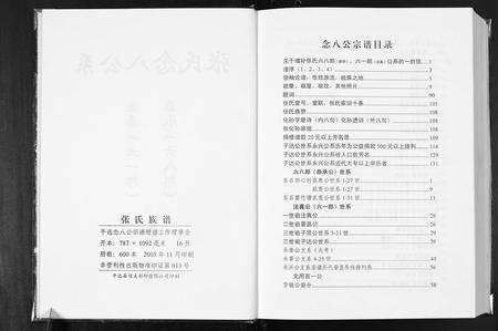 广东张氏族谱-张氏念八公系宗谱.pdf电子版插图2
