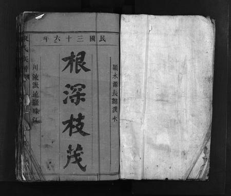 广东陈氏族谱-陈氏族谱 [9卷].pdf电子版插图2