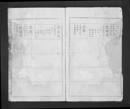 江西、广东邓氏族谱-南阳邓氏五修族谱[总卷数不详].pdf电子版插图2