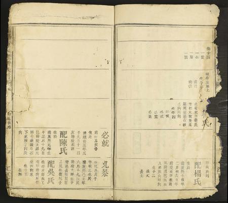 江西、广东黄氏族谱-雩阳黄氏陆修族谱 [不分卷].pdf电子版插图2