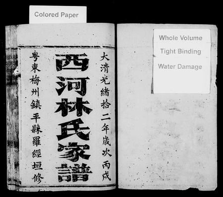 广东林氏族谱-西河林氏家谱.pdf电子版插图2 广东林氏族谱-西河林氏家谱.pdf电子版插图2