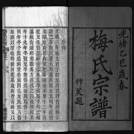 河南梅氏族谱-梅氏宗谱 [叙事9卷,系谱19卷,及首1卷].pdf电子版插图2