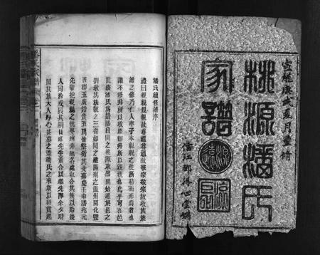江西、福建潘氏族谱-桃源潘氏家谱 [14卷].pdf电子版插图2