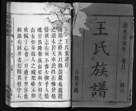 江西、广东、福建王氏族谱-王氏族谱 [8卷,首1卷].pdf电子版插图2