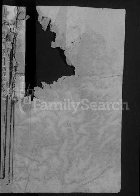 江西、福建王氏族谱-太原王氏族谱 [不分卷].pdf电子版插图2