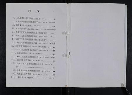 河南王氏族谱-太康马头王氏族谱 [不标卷数].pdf电子版插图2